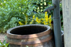 water barrel in a garden