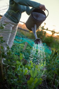 woman with a watering can